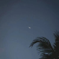 花 - 轻松音乐