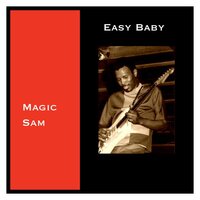 Call Me If You Need Me - Magic Sam