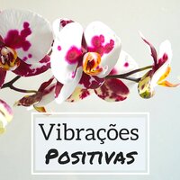 Meditação Adventista - Asia Meditação