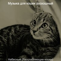 Звуки (Кошки) - Музыка для кошек роскошный