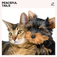 Pet Biofrequency Music - Pet Music World & Sleepy Dogs & Puppy Music Therapy & Dog Meditation Music