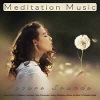 Tranquil Meditation Music and Zen Nature Sounds - 1 Hour Meditation & Meditation Music Playlist & Meditation Music