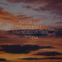 Orillas Puras - Piano Relajante & Maestros de música de la meditación & Musica relajante con sonidos de la naturaleza