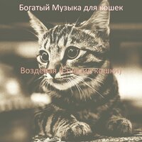 Созерцая (Спящие кошки) - Богатый Музыка для кошек
