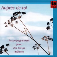 Sonata in C Minor for Harp: II. Andantino espressivo (fin) - Catherine Eisenhoffer