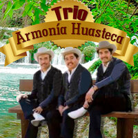 El Ranchero Potosino - Trio Armonia Huasteca