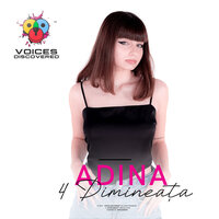 4 Dimineata - ADINA