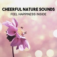 Positive Contemplation - Positive Energy Academy