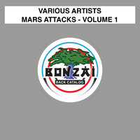 Longside Mode - Damir Pushkar