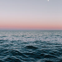 Drift Away Dreaming - Pet Care Club & Relaxation Music For Dogs & Sleepy Dogs