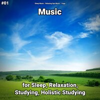 Serene Music Part 29 - Sleep Music & Relaxing Spa Music & Yoga