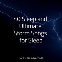 Soft Wind Rain Ambience - Sonido Del Bosque y Naturaleza & Ambient Music Therapy & Relaxing Nature Ambience