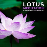 Liberate Negative Beliefs 770Hz - Pineal Gland Activator & Sacral Chakra