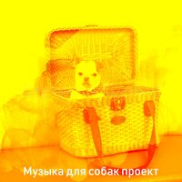 Созерцая (Тихие щенки) - Музыка для собак проект