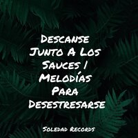 En Forma Y Saludable - Musica Relajante Para Dormir & Canciones Infantiles Para Niños & El hada de las canciones de cuna