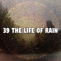 Грозовой вечер - Rain Sounds