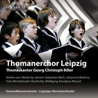 Wo Gott der Herr nicht bei uns hält (Cantata BWV 178): Auf sperren sie den Rachen weit - Thomanerchor Leipzig & Georg Christoph Biller & Gewandhausorchester & Johann Sebastian Bach