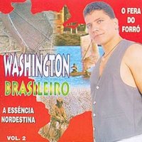 Feia Que Dói - Washington Brasileiro