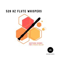 528 Hz Mediatation - Binaural & Everlight & Quiet Moments
