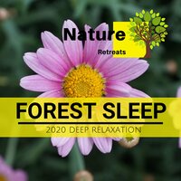 No Doubt - Meditation Atmospheres & Power Yoga Nature Sounds