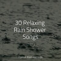 LoFi Rain on Window - Rainforest & Rain Sound Studio & Binaural Beats Brainwave Entrainment