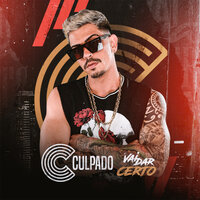 Pilantragem - MC Culpado