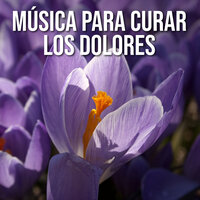 Armonías de Fe - Espiritual Renovación