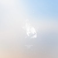 Insight Xll - Julien Marchal