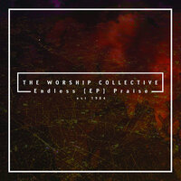 Reckless Love the Worship Collective - Endless Praise