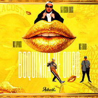 Boquinha de Ouro (Slowed + Reverb) - Mc Lipivox & Authentic Records & Mc Fahah & DJ EDSON LUKAS
