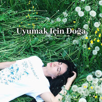 Dağ Nehri - Rahatlatıcı Müzik Terapi
