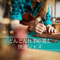 Illogical Pause - Daytime Owl