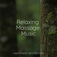 White Noise - Academia de Música para Massagem Relaxamento & White Noise for Deeper Sleep & Ambient Forest
