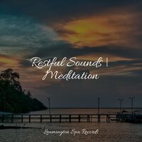 Susurrations - Water Sound Natural White Noise & Music to Relax in Free Time & Sleepy Night Music