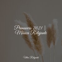 Sueños Lúcidos - Canciones de Cuna Relax & Musica relajante & Masaje Tantrico Musica Colección