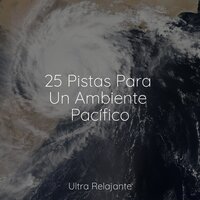 El Viaje - Meditacionessa & Relajante & Yoga Para Ninos