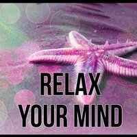 Full Lotus - Relaxing Office Music Collection