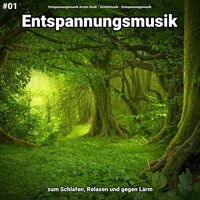 Wunderschöne Stimmung - Entspannungsmusik & Schlafmusik & Entspannungsmusik Armin Sindt