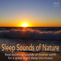Night Rain - Calming Sounds of Pouring Rain - Sleep Helper TA & Torsten Abrolat & Deep Sleep Aid Crew TA
