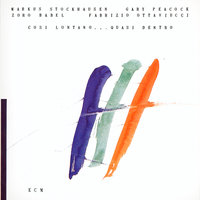 ...Through... - Markus Stockhausen & Gary Peacock & Fabrizio Ottaviucci & Zoro Babel