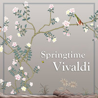 Vivaldi: Concerto for Strings and Continuo in D minor, RV 128 - 2. Largo - I Musici & Антонио Вивальди