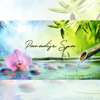 Healing Touch of Nature - Relaxing Spa Oasis