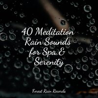 Constant Rains - Asian Zen Spa Music Meditation & ZEN & Lluvia PQ