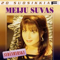 Sydänmyrsky - Meiju Suvas