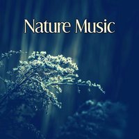 Birds Sounds - Nature Sounds