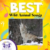 Sea Otter Won't You Play With Me? - Nashville Kids' Sound