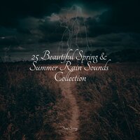 Traffic Rain - Relaxing Nature Ambience & Chakra Balancing Sound Therapy & Sound of Rain