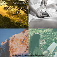Scintillating Music for Insomnia - Brilliant Relaxing Spa Music
