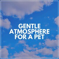Peace-Loving Atmosphere for a Pet - Cats Music Zone
