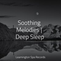 Meditative State of Mind - Yoga Sounds & Baby Relax Music Collection & Organic Nature Sounds